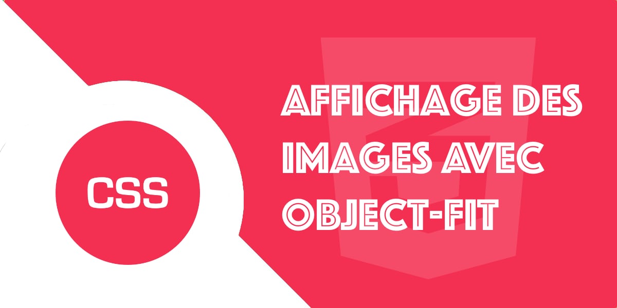 object-fit : Propriété CSS pour l’affichage des images