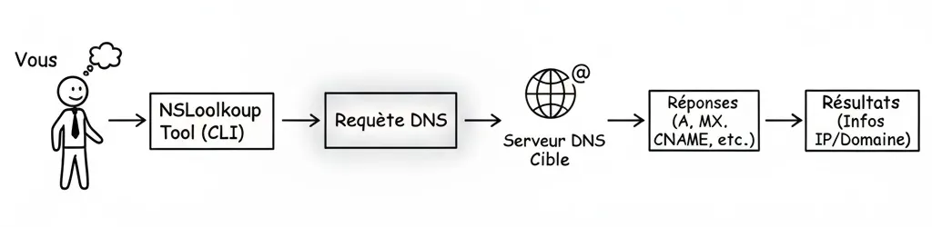 Schéma expliquant le principe de NSLookUp