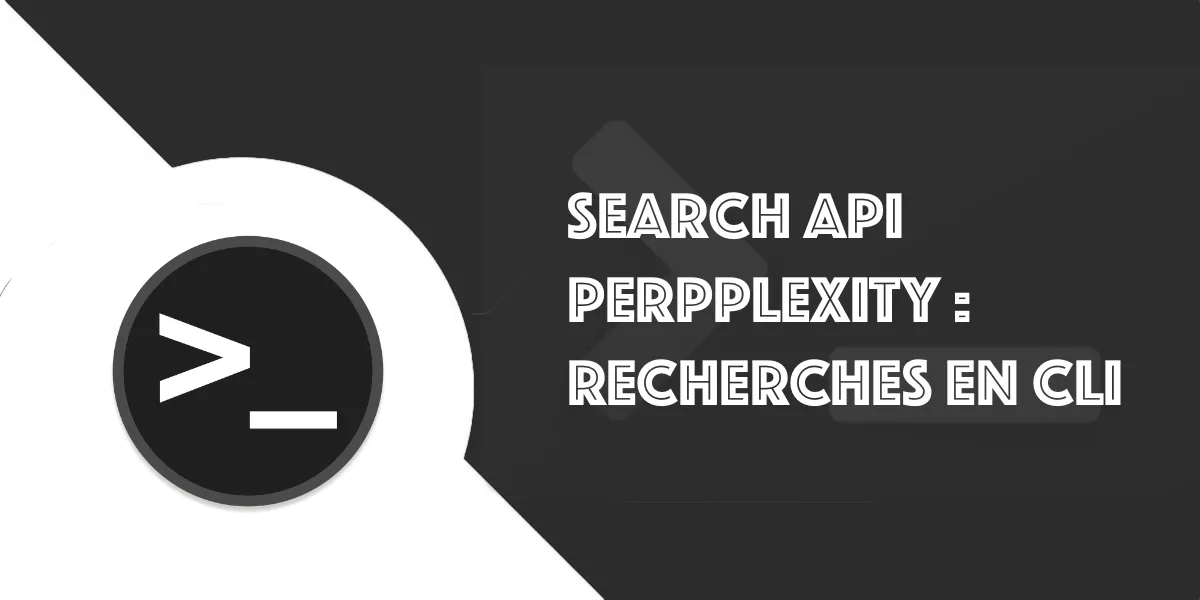 Search API de Perplexity : Guide complet et exemple concret