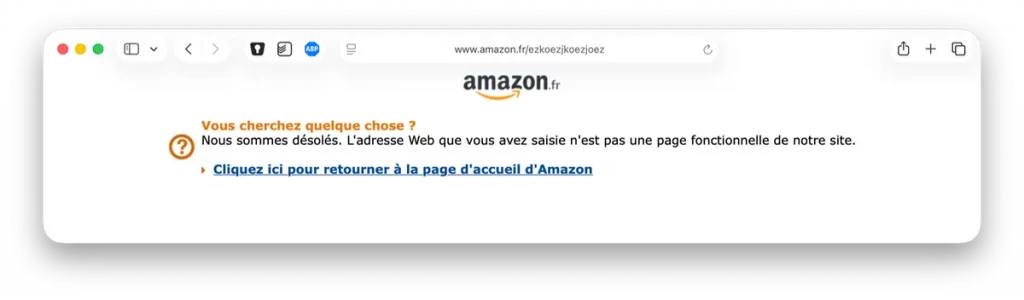 Page 404 pour indiquer l'erreur