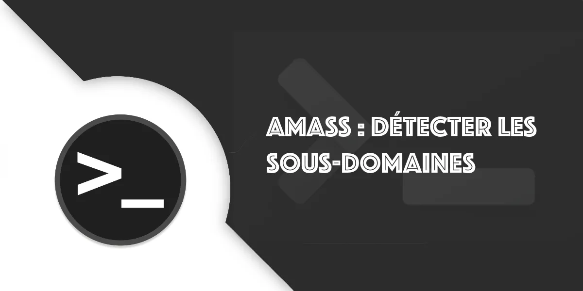Amass : l’outil pentesting pour trouver des sous-domaines