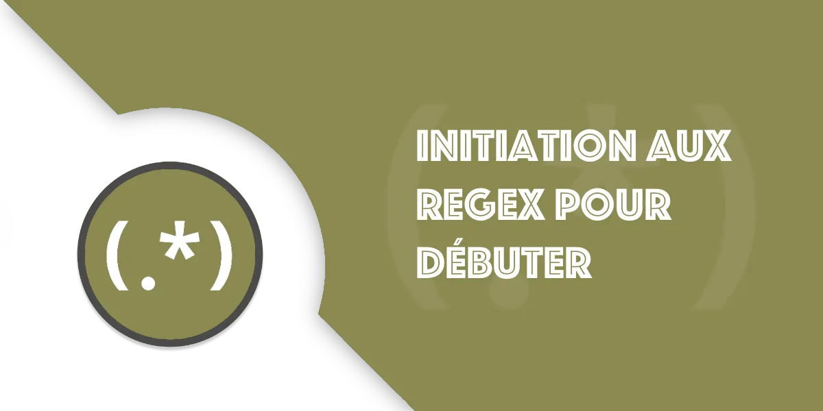 Regex pour débutant : comprendre ces “expressions bizarres”