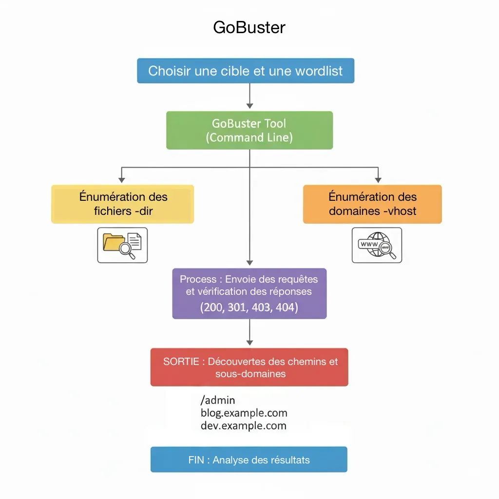 Schéma du principe de fonctionnement de GoBuster