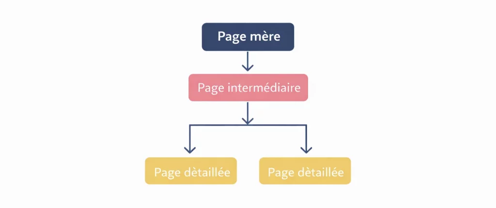 Architecture SEO : Le cocon sémantique