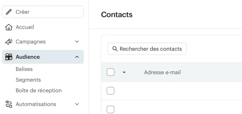 Audience dans MailChimp