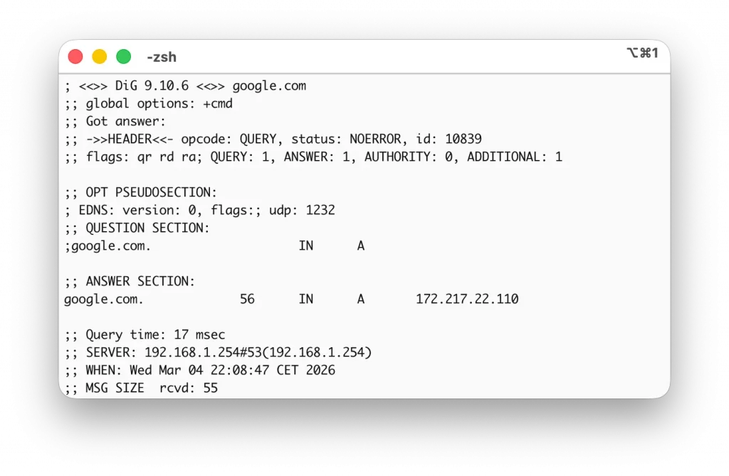 Dig depuis le terminal