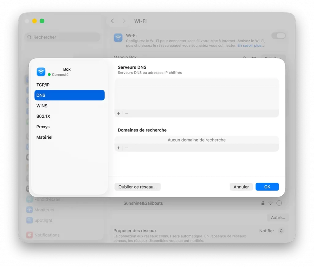 Serveur DNS depuis son Mac