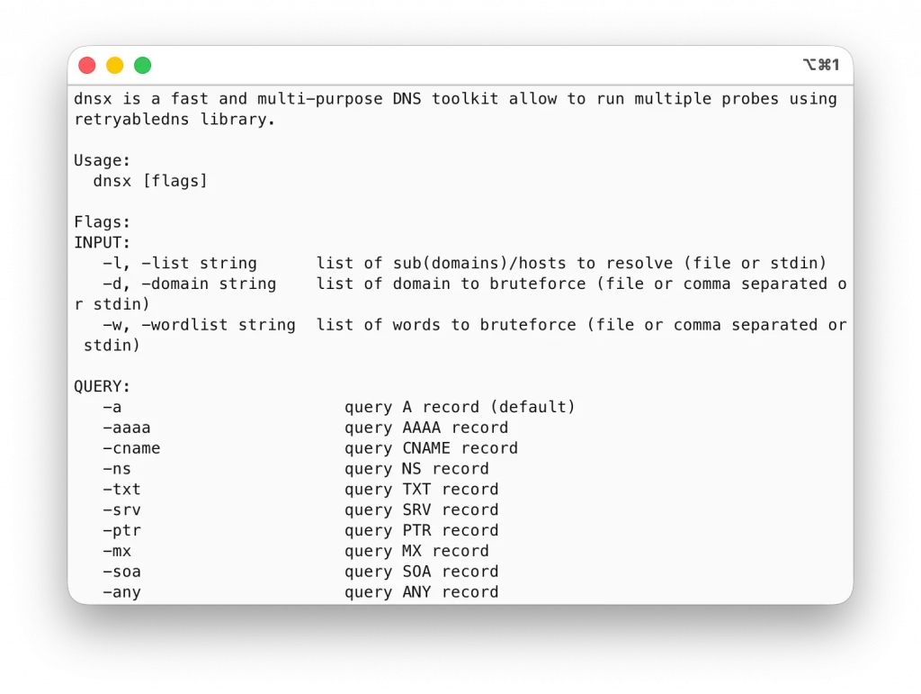 DNSX depuis le terminal