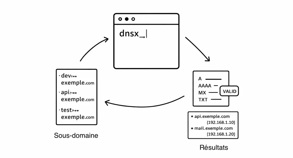 Fonctionnement de DNSX