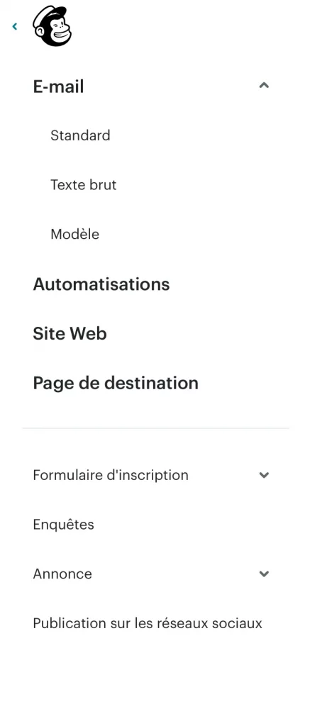 Modele de newsletter Mailchimp