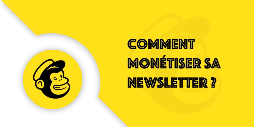Comment monétiser sa newsletter efficacement