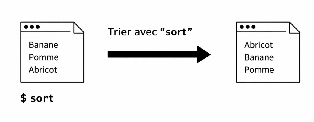 La commande SORT depuis le terminal