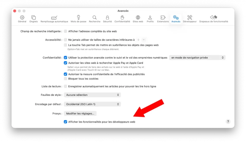 Safari sur iPhone pour tester son site web