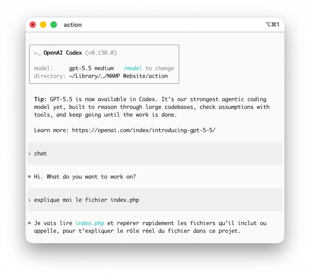 Codex CLI depuis le terminal