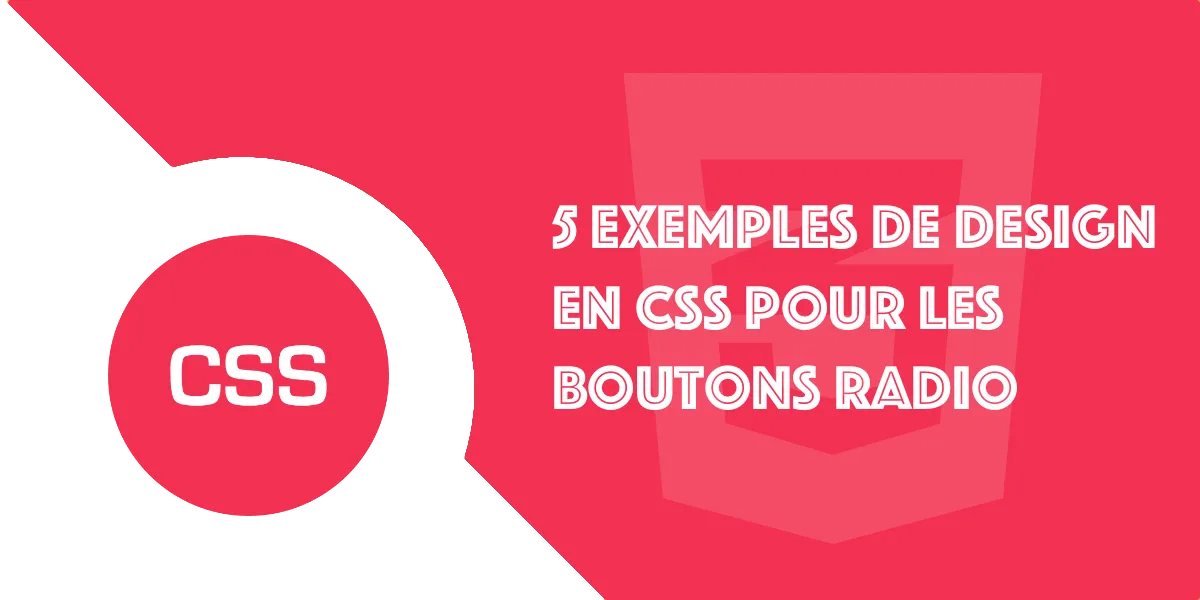 CSS bouton radio : 5