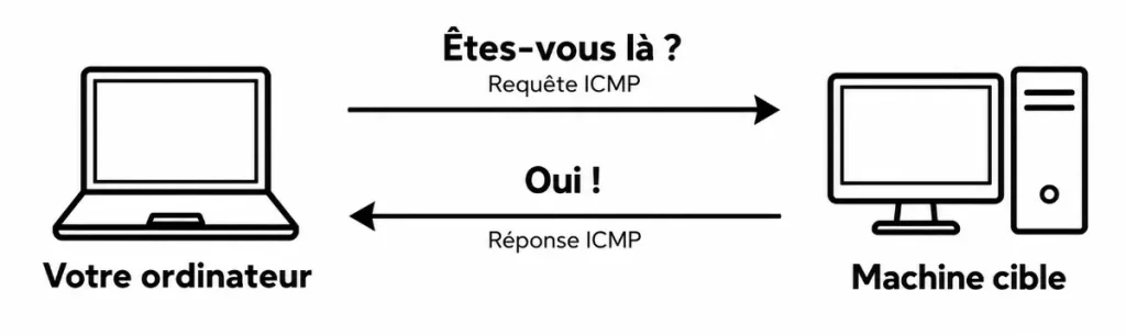 La commande Ping en pentesting