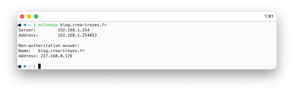 NSLookUp