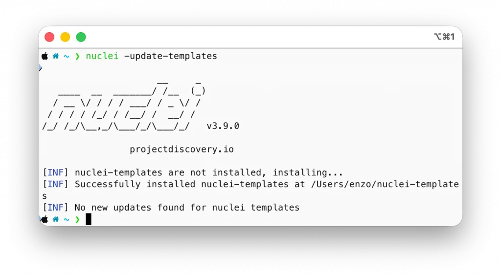 Nuclei template