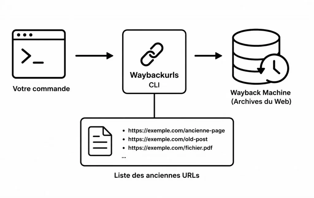 Waybackurls