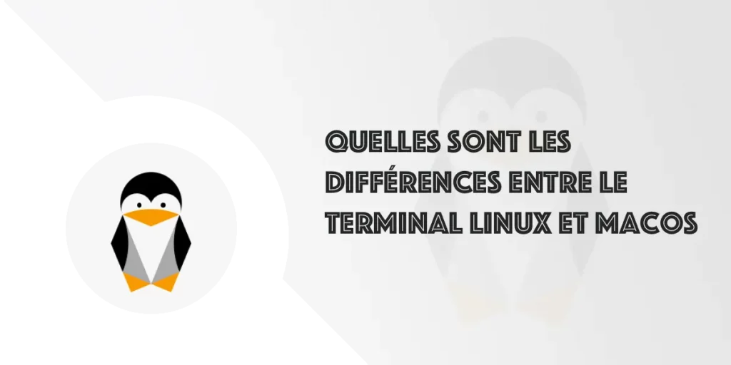 Terminal Linux ou macOS : quelles sont les différences ?