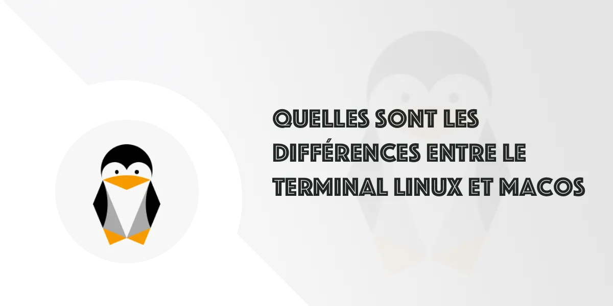 Terminal Linux ou macOS :