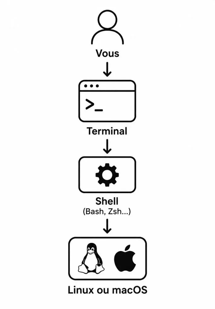 Terminal linux et terminal macOS
